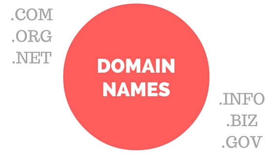 Domain Names - .COM .ORG .NET .INFO .BIZ .GOV