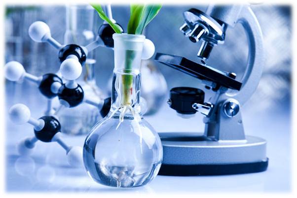 Biochemical Engineering Assignment Help. Biochemical Assignment Help. Biotechnology and its application