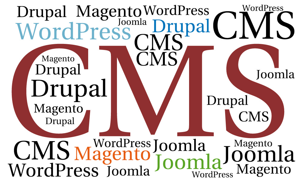 Use of CMS (WordPress, Magento, Drupal, Joomla) as an Adobe Business Catalyst alternative for Web Design