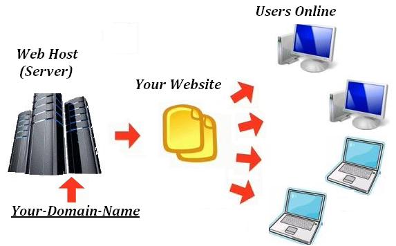 Web Host or Web Server stores website pages and files