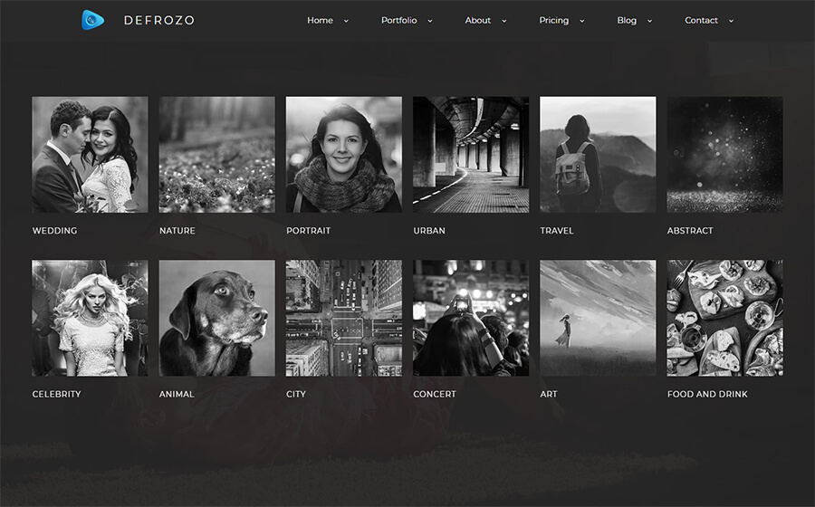 Defrozo Photographer Portfolio Website Template