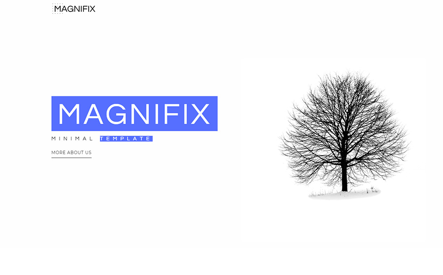 Magnifix - Creative Minimal Elementor WordPress Theme.