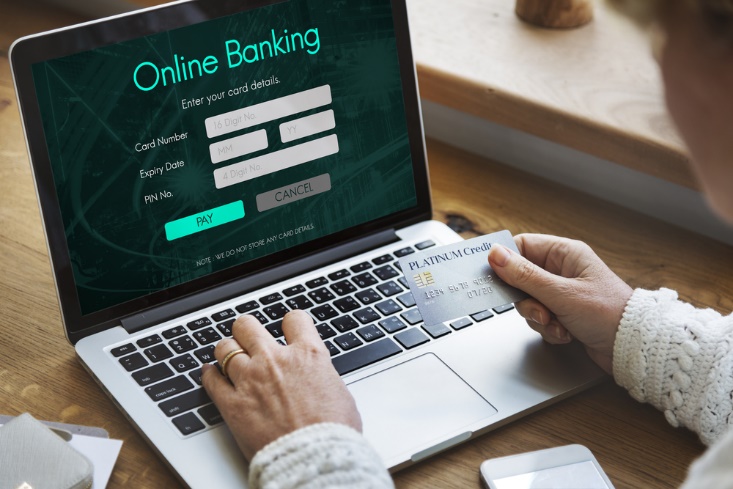 Online Banking Credentials. Enter your card details.