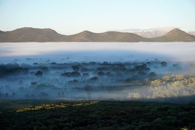 Greatest Photos Taken on a Smartphone - 'Wilpena Pound' Photography by Photographer Duncan Cunningham-Reid