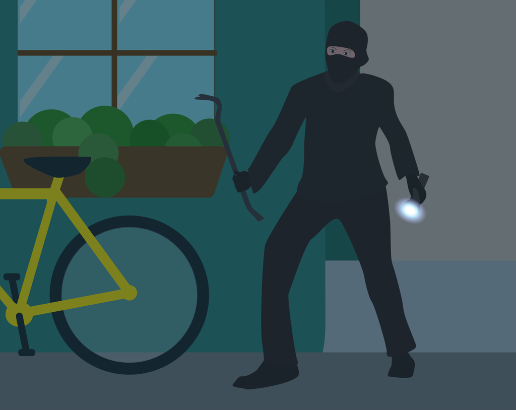 Burglary - Crime - Theft - Criminal  -Sneaking Around In The Dark.