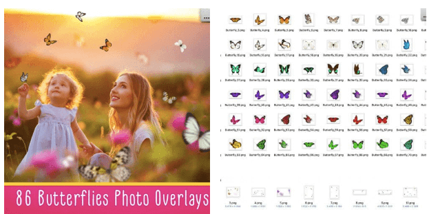 86 Butterflies Photo Overlays