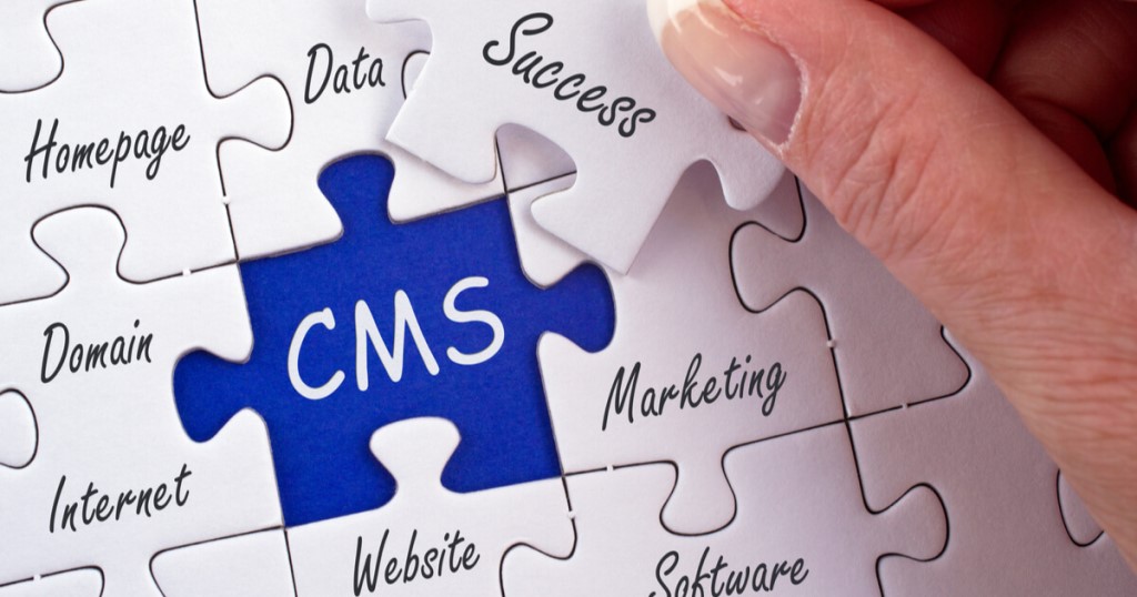 Content Management System (CMS) 
