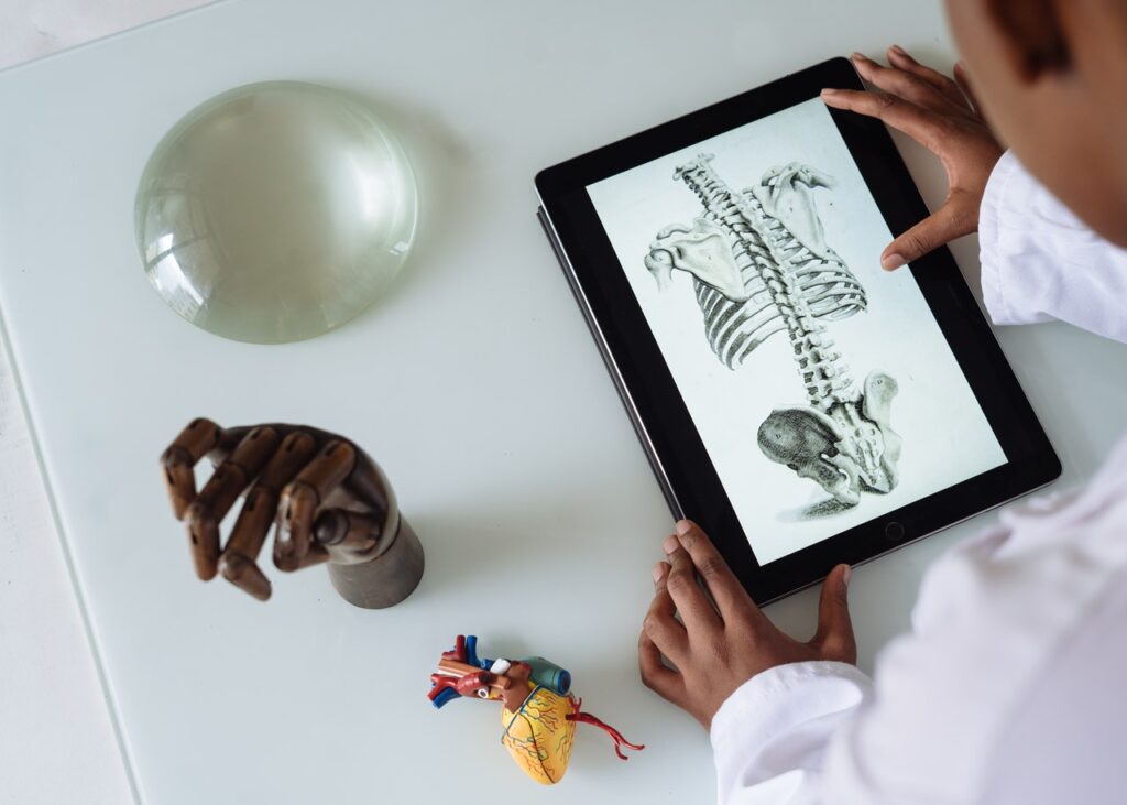 African American scientist studying anatomy with tablet.