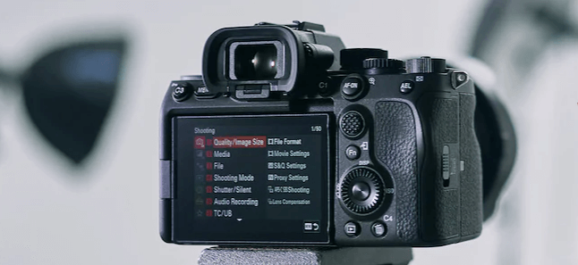 Sony Alpha 7S III DSLR Camera Menu Options.