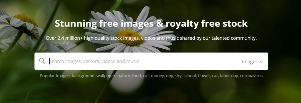 Pixabay: Stunning free images and royalty free stock photos