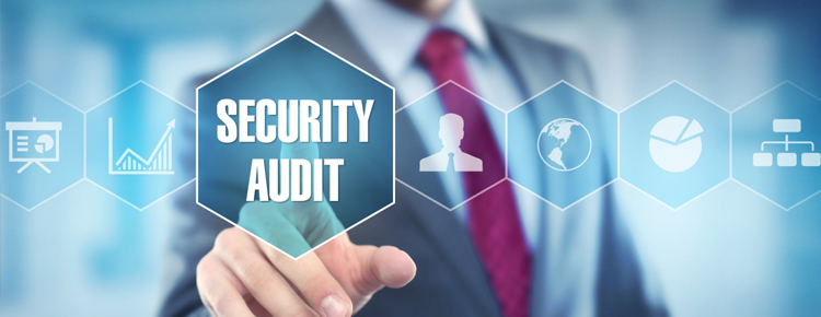 Cyber Security Audit