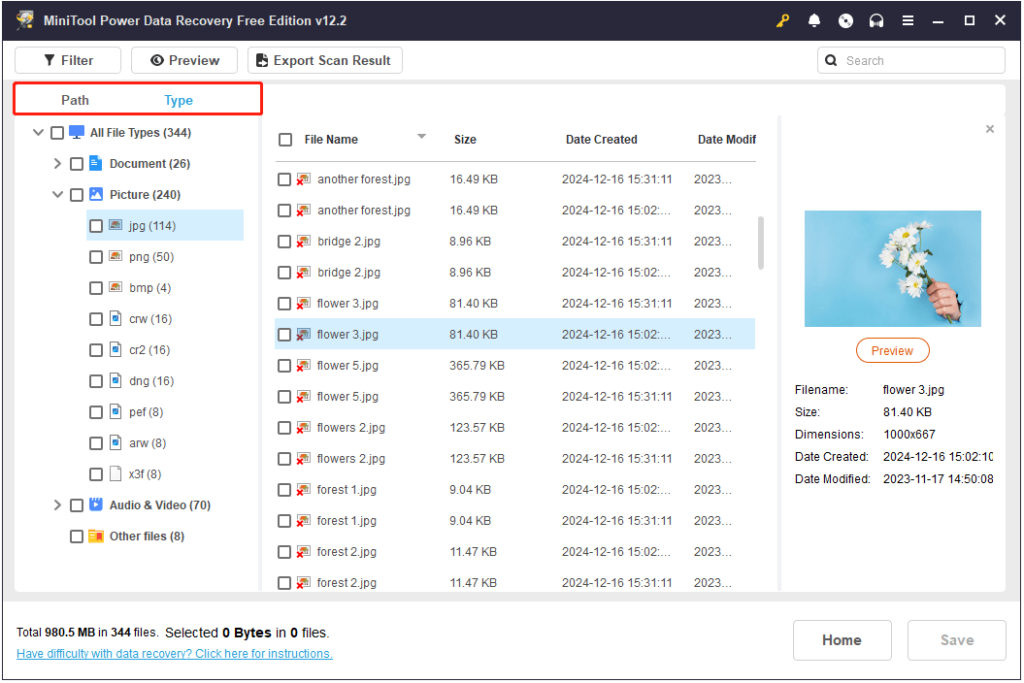 View files by file path and file type